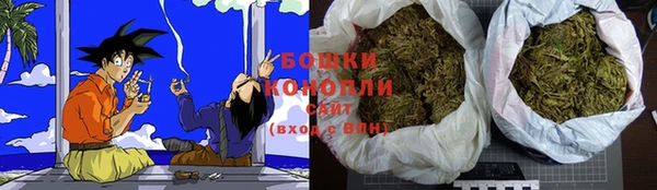 PSILOCYBIN Армянск
