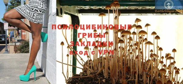 PSILOCYBIN Армянск