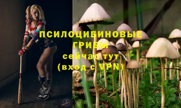 герыч Аркадак