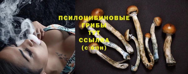 герыч Аркадак